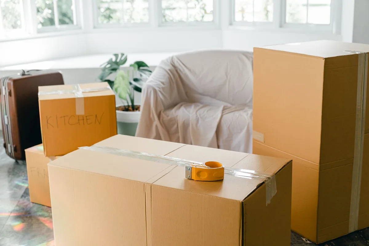Hoarding Cleanup in Webberville, MI